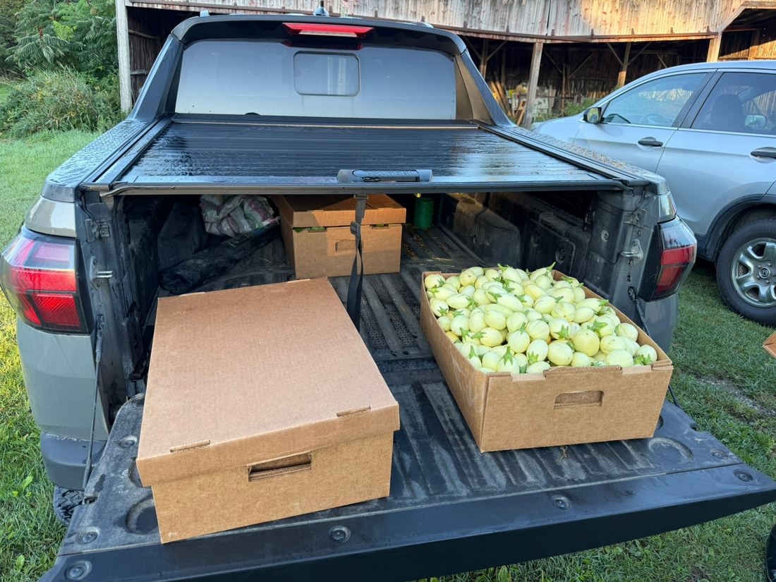 Harvest boxes on the farm, Cookshire-Eaton